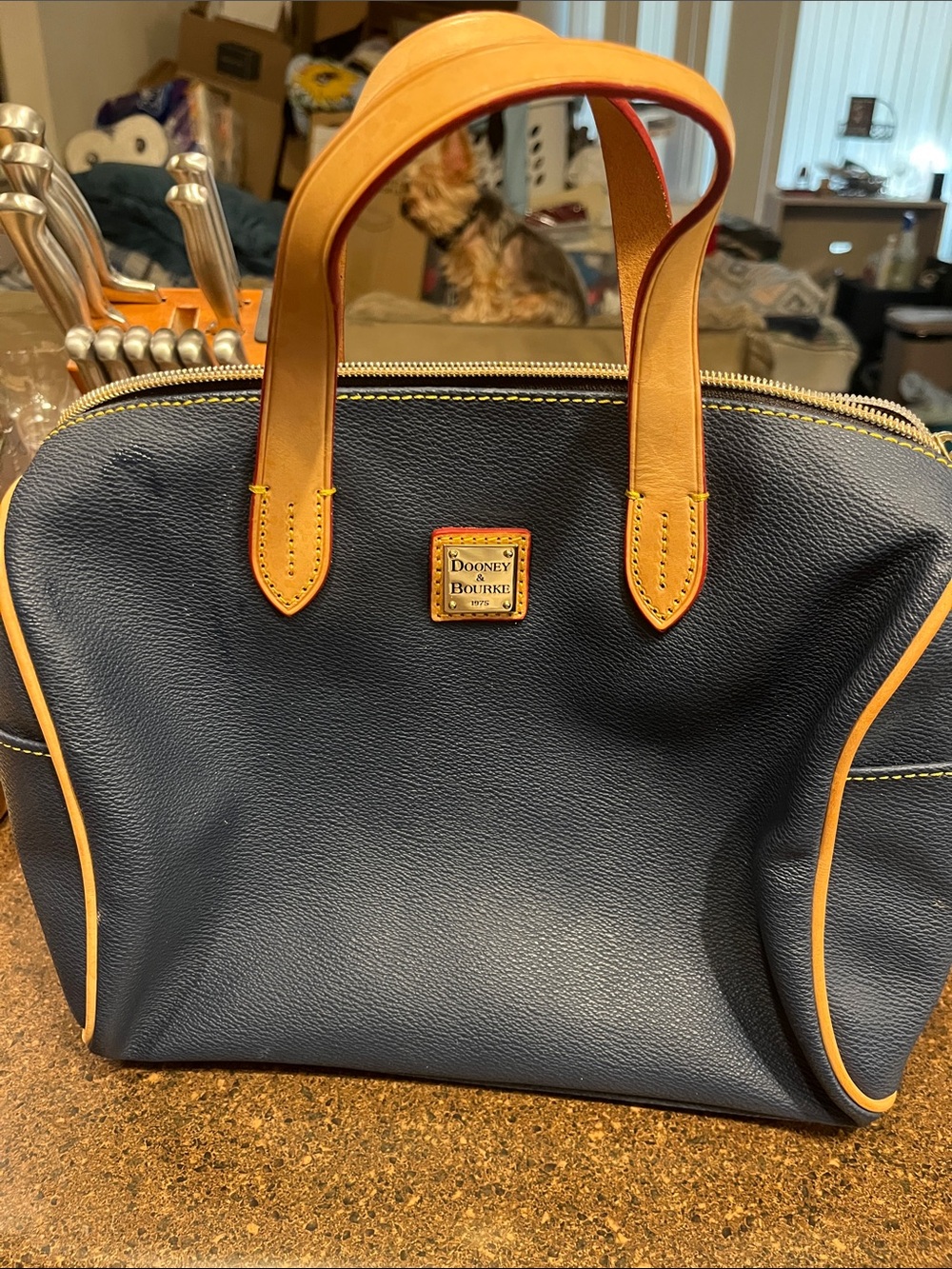 Dooney & Bourke Navy and Tan Leather Satchel